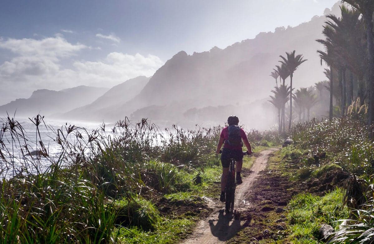 Cyclist riding along a quiet coastal road with views over Golden Bay in New Zealand